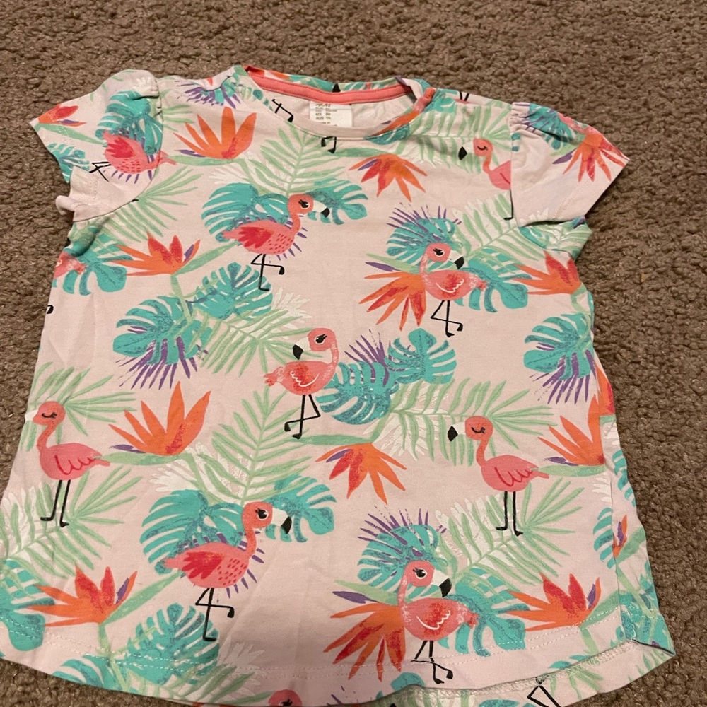 T-shirt flamingos print